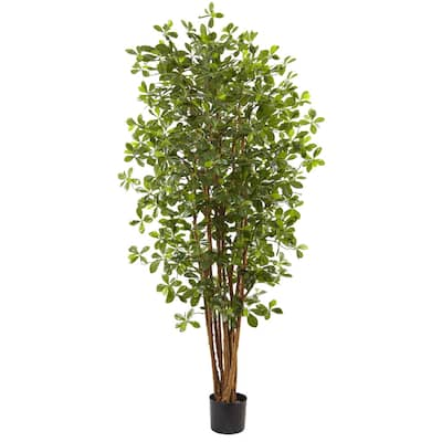 6-foot Black Olive Silk Tree - Green