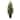 3-foot Mini Cedar Pine Tree (Indoor/Outdoor) - Green