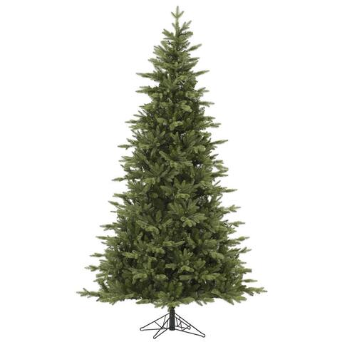 6.5' x 45" Fresh Balsam Fir Tree with 816 Tips
