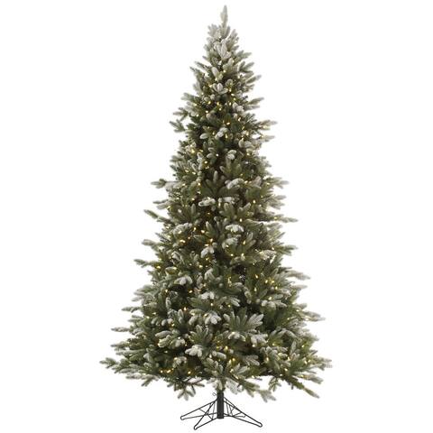 6.5' x 45" Frosted Balsam Fir Tree with 450 Warm White Italian LED Lights