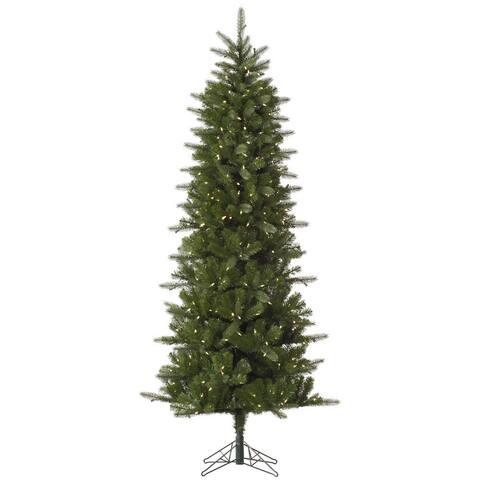 5.5' x 30" Carolina Pencil Spruce Tree with 250 Warm White LED Lights