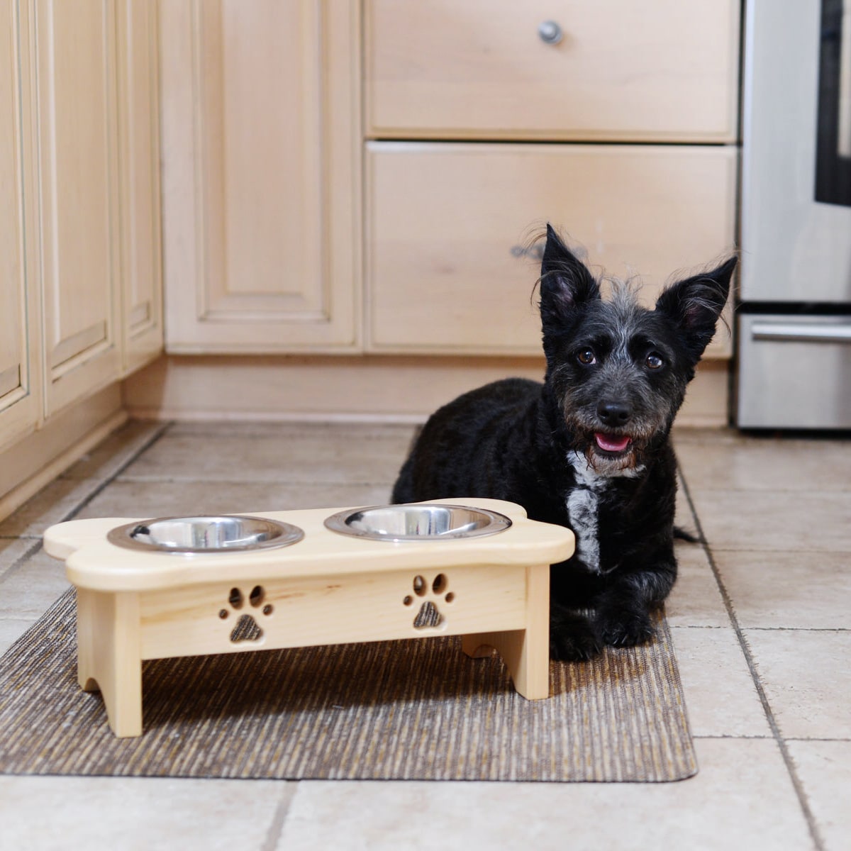 elevated dog diner