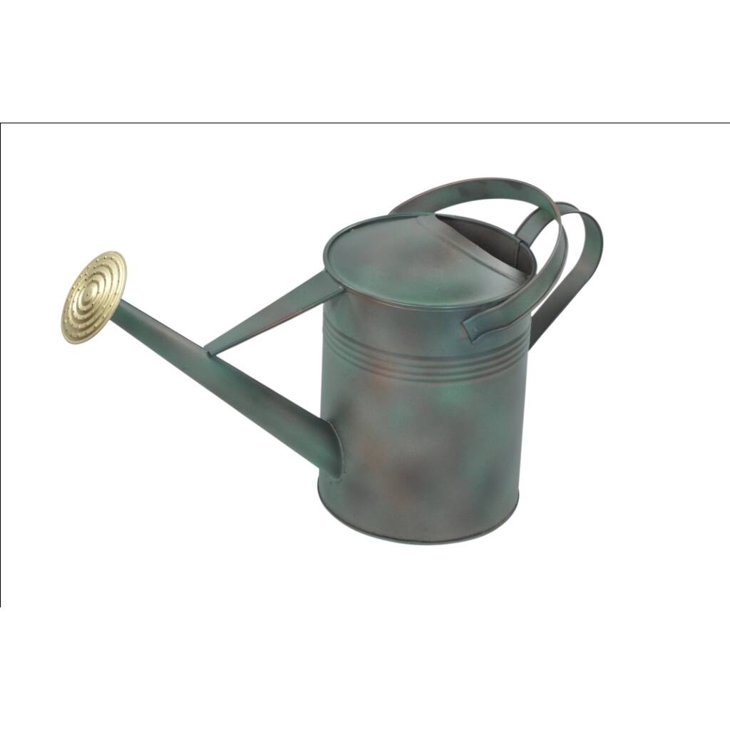 Alliyah Handmade Green Watering Fine Galvanized Can