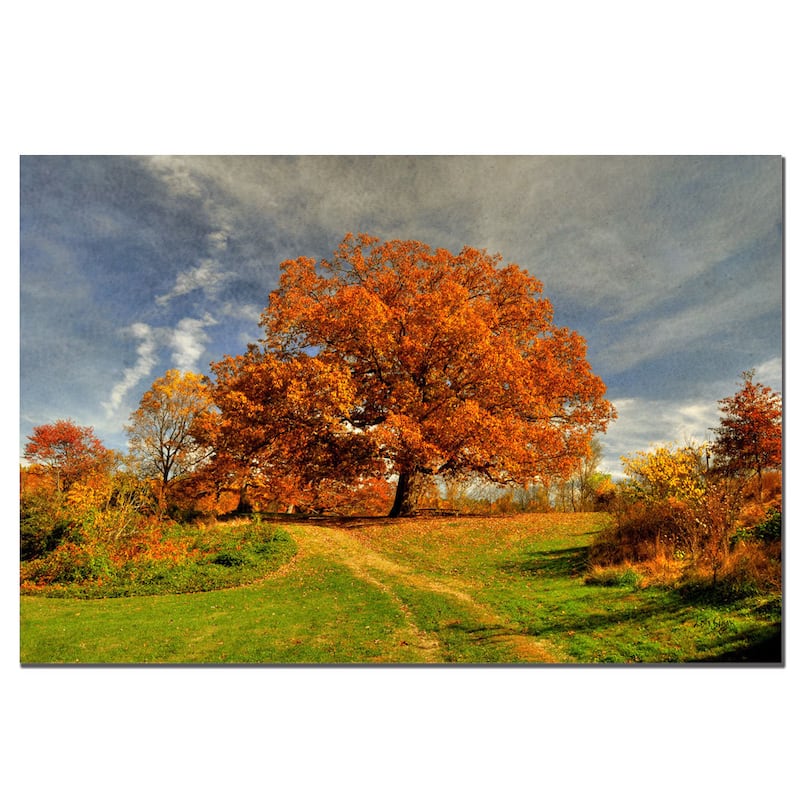 Lois Bryan 'Fall Scene II' 22x32 Canvas Wall Art