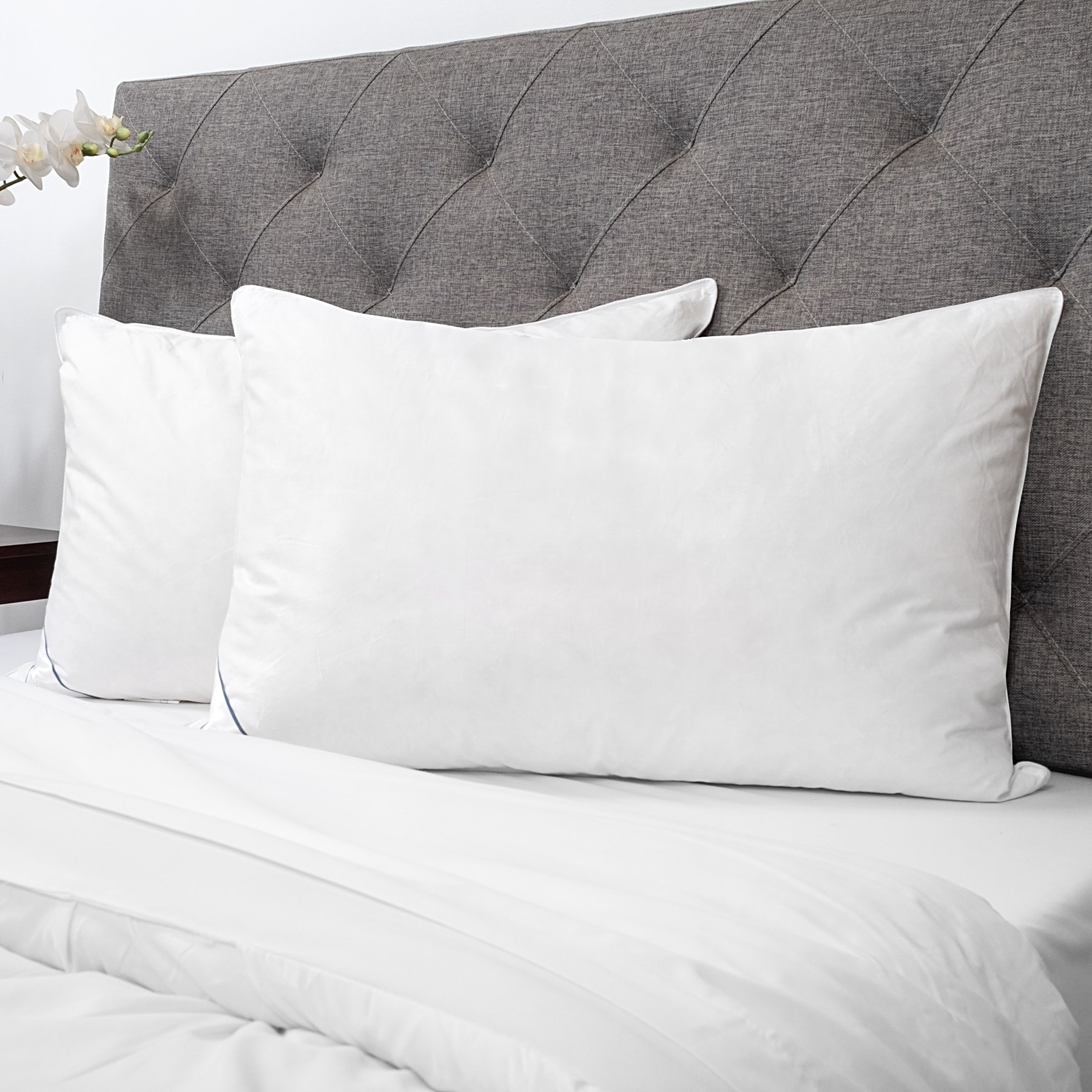 Natural Feather Bed Pillows 