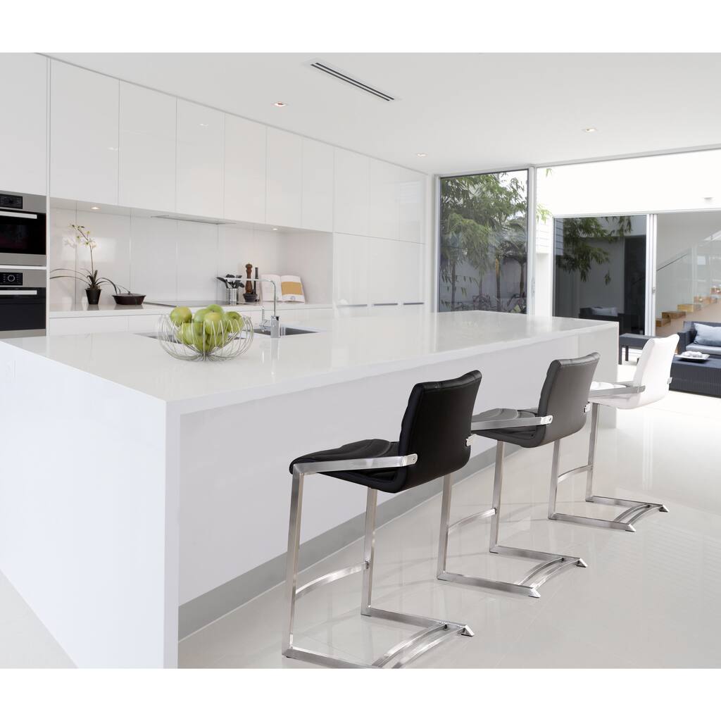 Rio Stainless Steel Eco-leather Counter Stool (Set of 2)