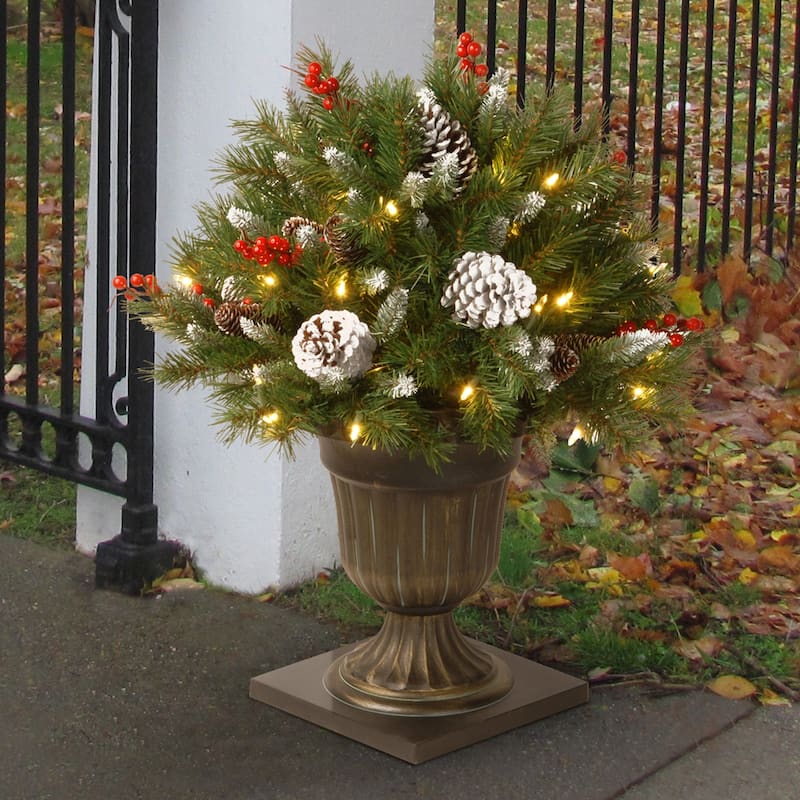 National Tree Company 2 ft. Frosted Berry Porch Bush with Clear Lights - Green - 2 ft