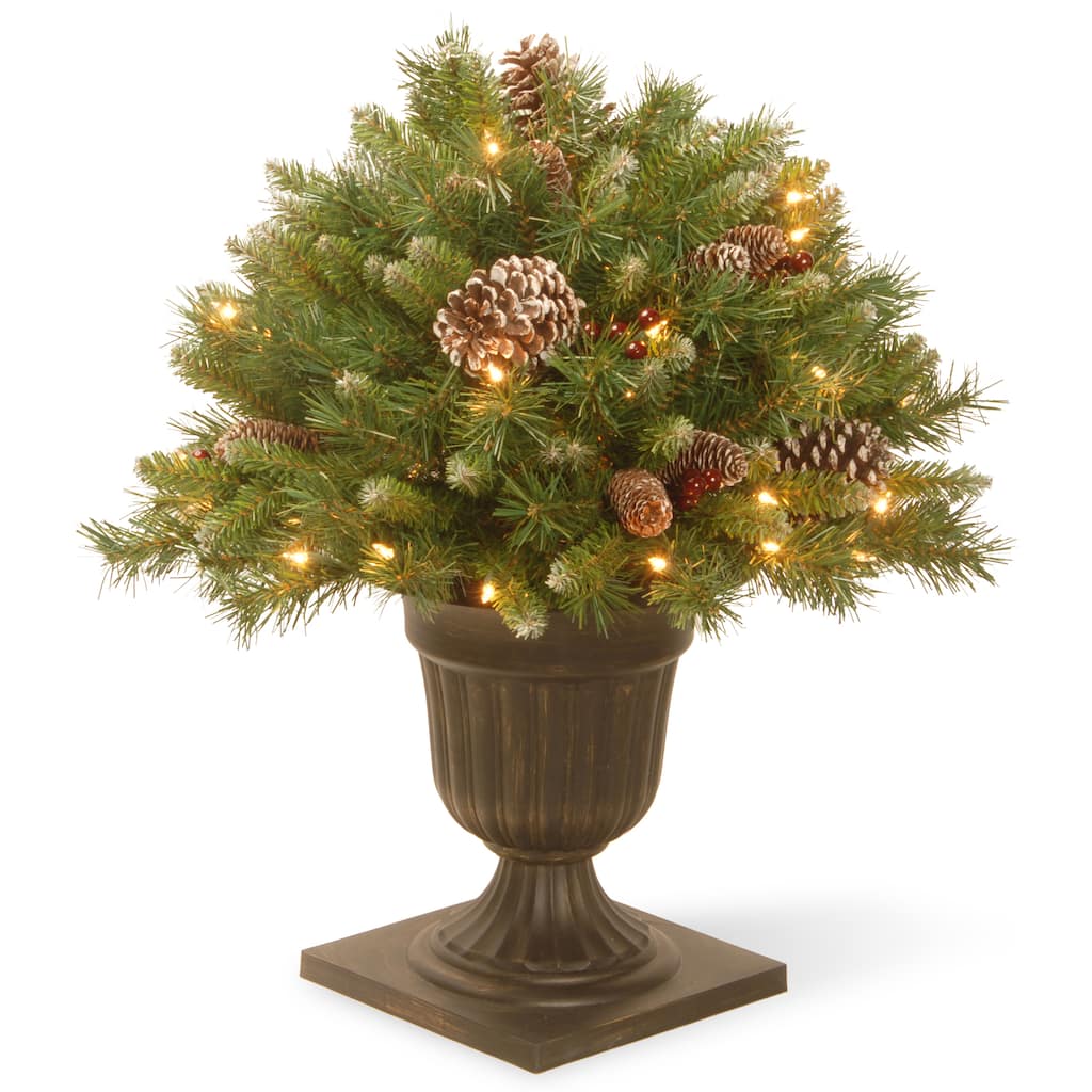 National Tree Company 2 ft. Frosted Berry Porch Bush with Clear Lights - Green - 2 ft