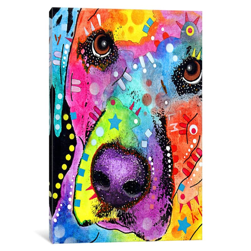 iCanvas Closeup Labrador by Dean Russo Canvas Print