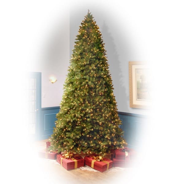 Shop 12 Ft Downswept Douglas Fir Tree With Clear Lights