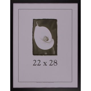 double sided picture frame 22 x 28