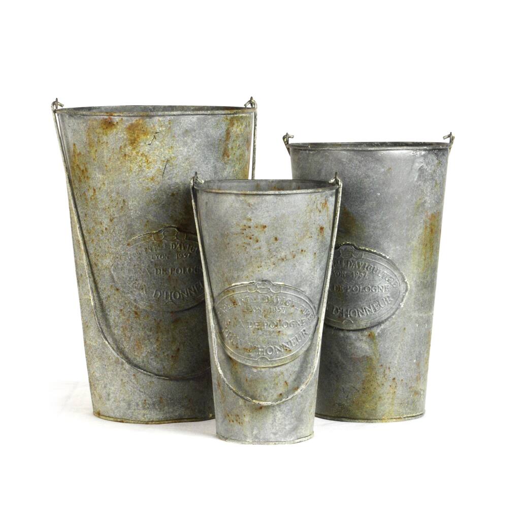 Rustic Metal Bucket (set of 3)