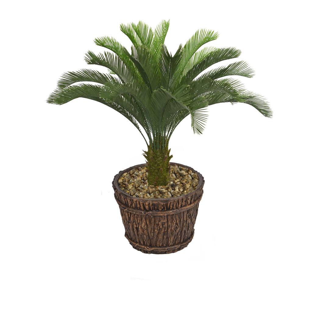 56-inch Tall Cycas Palm Tree in Planter - 56"