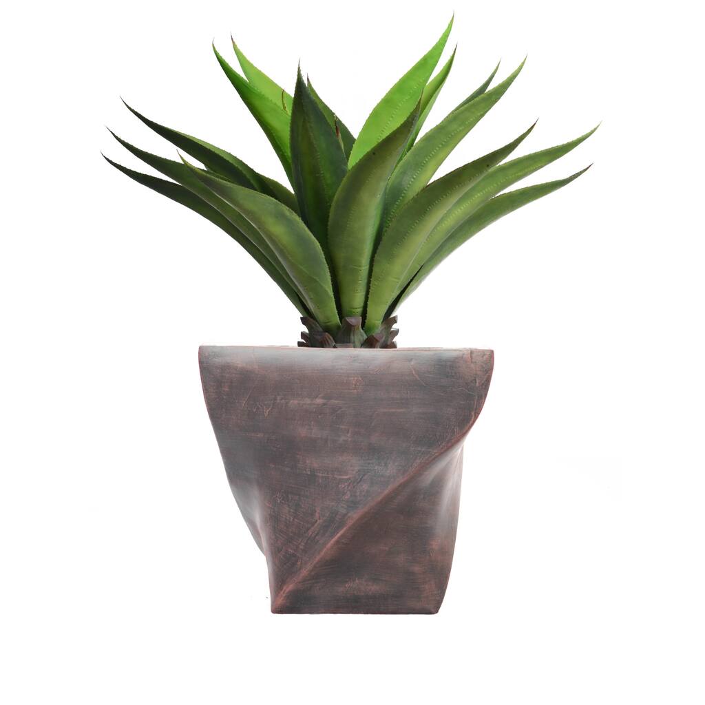 42-inch Tall Giant Aloe in Planter - OS