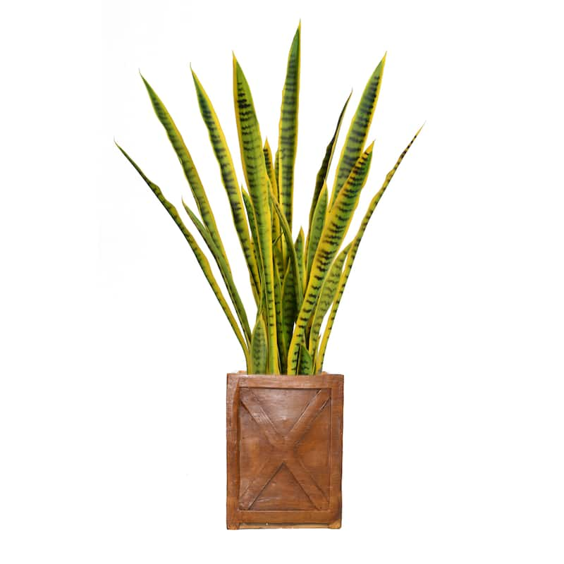 44-inch Tall Snake Plant in Planter - 44"