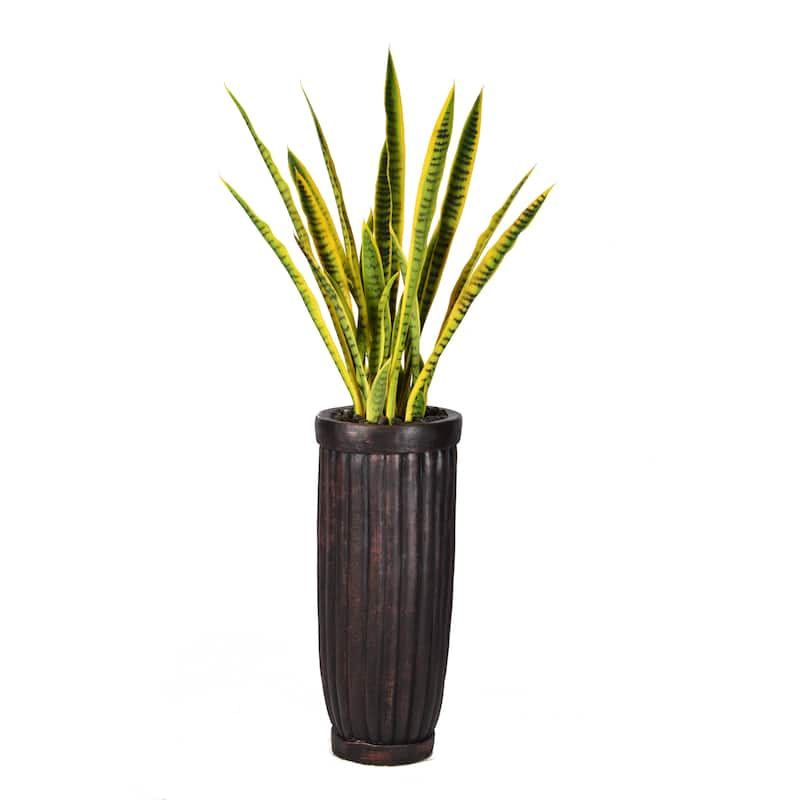 56-inch Tall Snake Plant in Planter - 56"