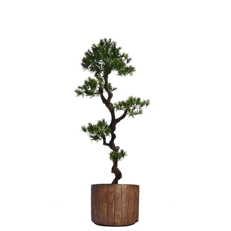 53-inch Tall Yacca Tree in Planter - 63.8" - 63.8"