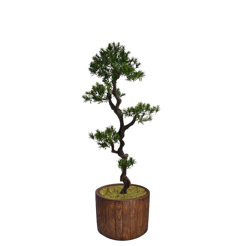 53-inch Tall Yacca Tree in Planter - 63.8"