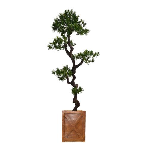 57-inch Tall Yacca Tree in Planter - 68"