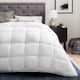 Down Comforters and Duvet Inserts