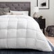 preview thumbnail 1 of 9, Brookside Down Alternative Reversible Comforter with Duvet Tabs Full - Queen - White