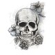 preview thumbnail 2 of 1, RoomMates Neutral Floral Skull Giant Wall Decals