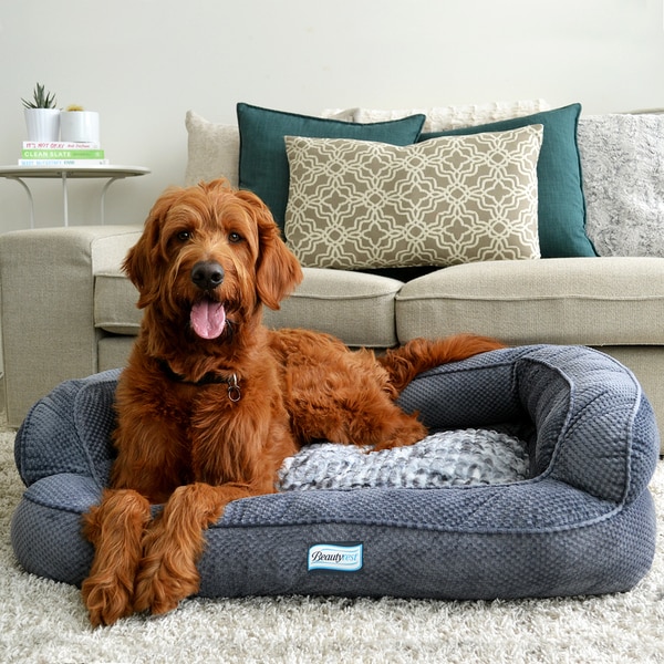 Beautyrest dog shop bed large