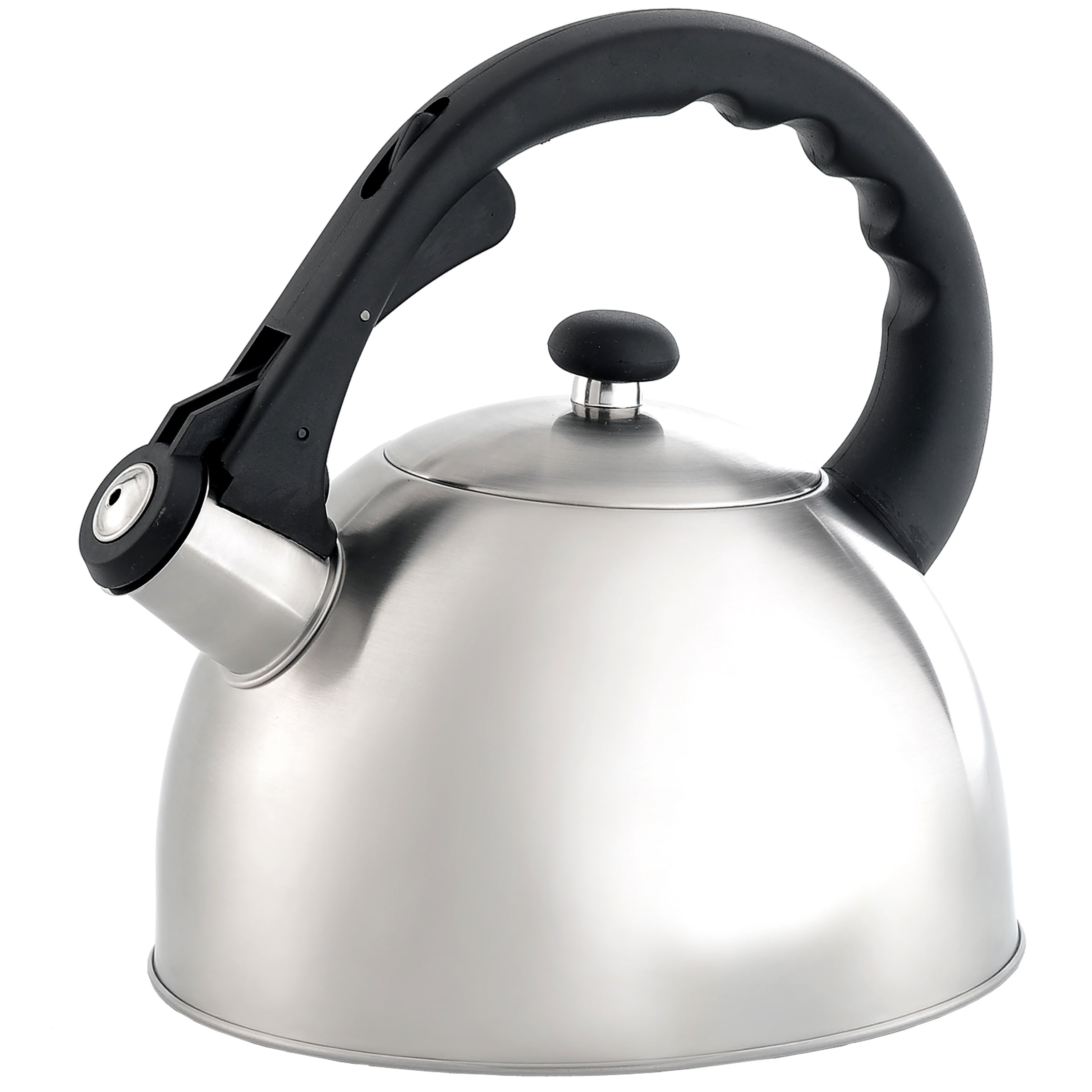 Creative Home 10 Cups Blue Stainless Steel Whistling Tea Kettle