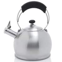 Panasonic Violet Stainless Steel 1.4-liter Electric Kettle - Bed Bath &  Beyond - 8201558