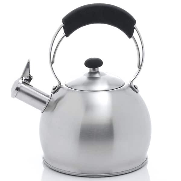 Blue Tea Kettle Stainless Steel Whistling Teapot - 2.6 Liter