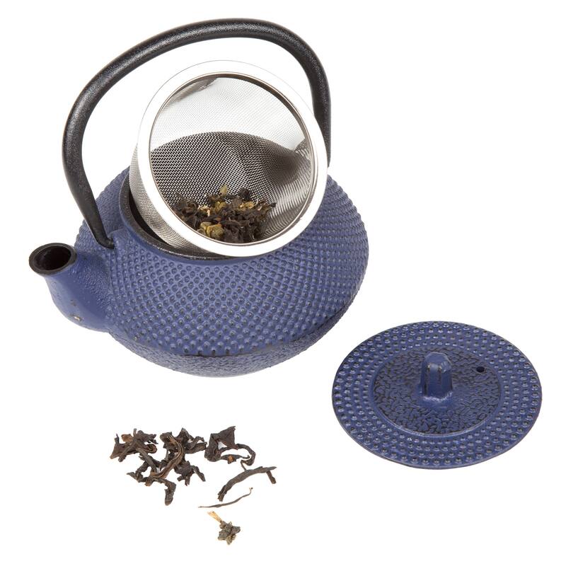 Creative Home Kyusu Blue Cast Iron 10 oz. Tea Pot
