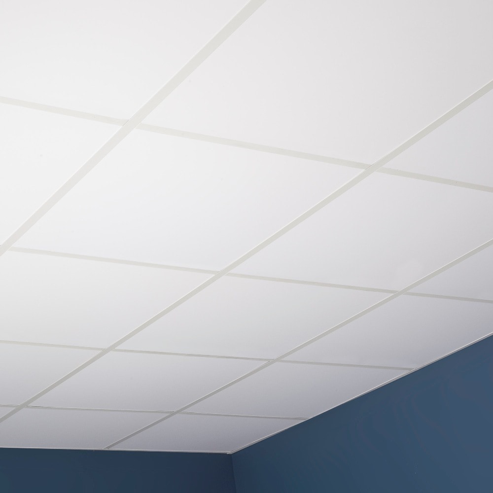 Shop Genesis Smooth Pro White 2 X 2 Ft Lay In Ceiling Tile Pack