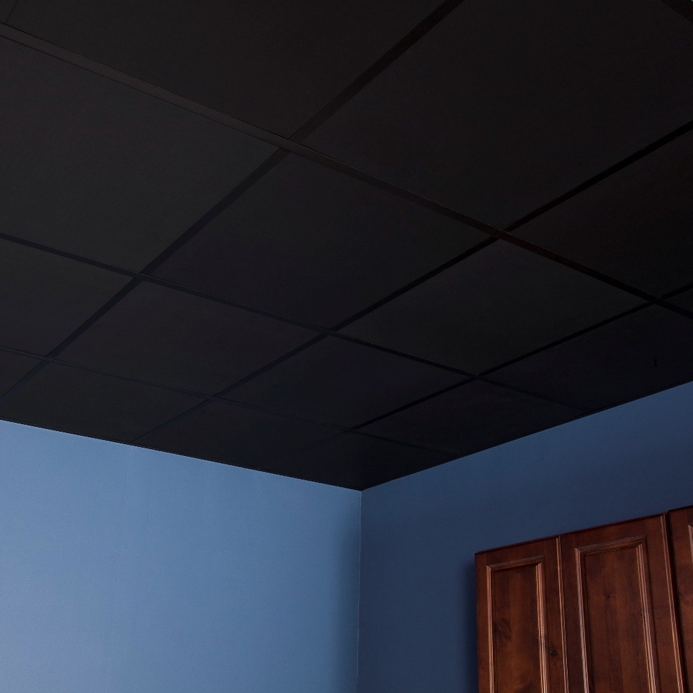 Genesis Smooth Pro Black 2 X 2 Ft Lay In Ceiling Tile Pack Of 12