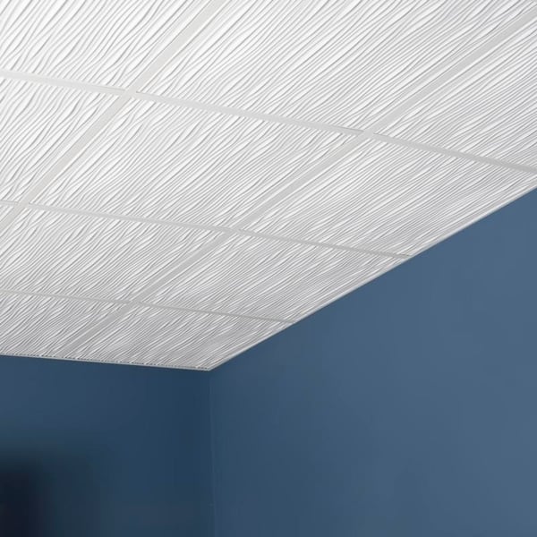 Shop Genesis Drifts White 2 X 2 Ft Lay In Ceiling Tile Pack Of