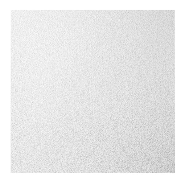 Shop Genesis Stucco Pro White 2 X 2 Ft Lay In Ceiling Tile Pack