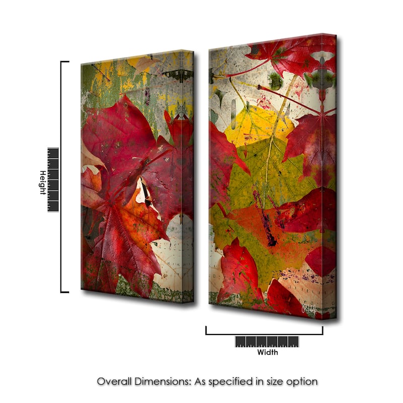 Ready2HangArt 'Fall Ink XXI' Canvas Wall Art