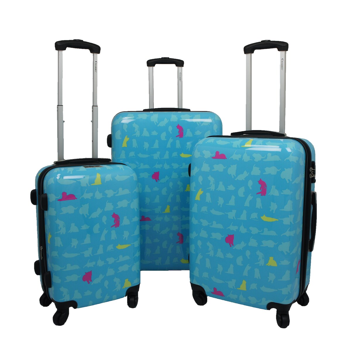 cat luggage set