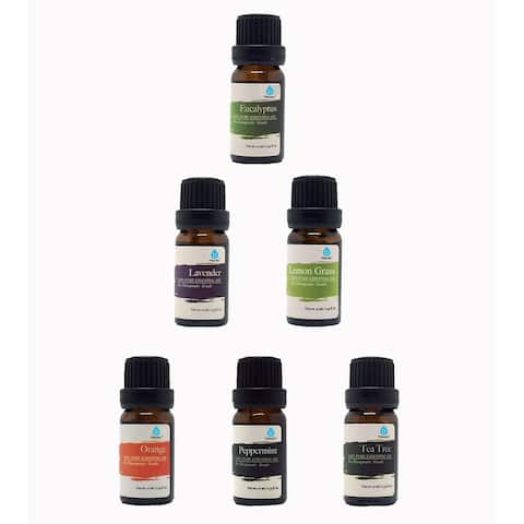 Buy Essential Oils & Diffusers Online at Overstock | Our Best ...