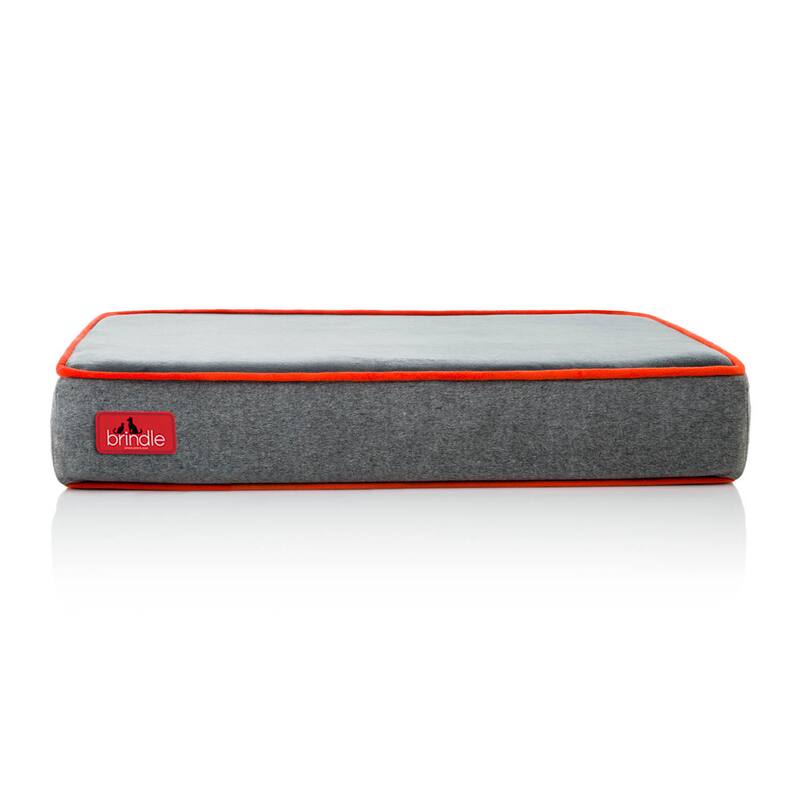 Brindle Waterproof Designer Memory Foam Pet Bed - Charcoal Velour - Small