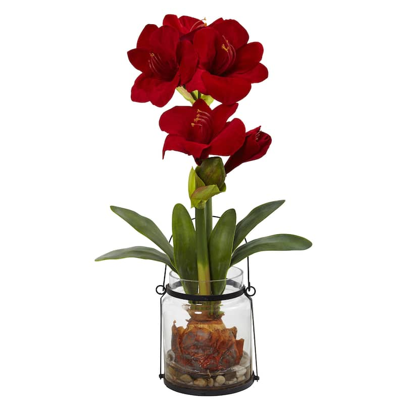 24-inch Amaryllis w/Vase