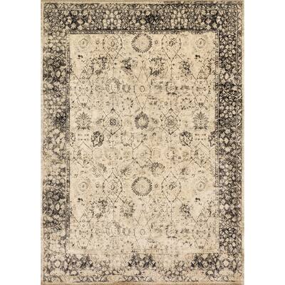 Alexander Home Natalie Traditional Distressed Floral Rug