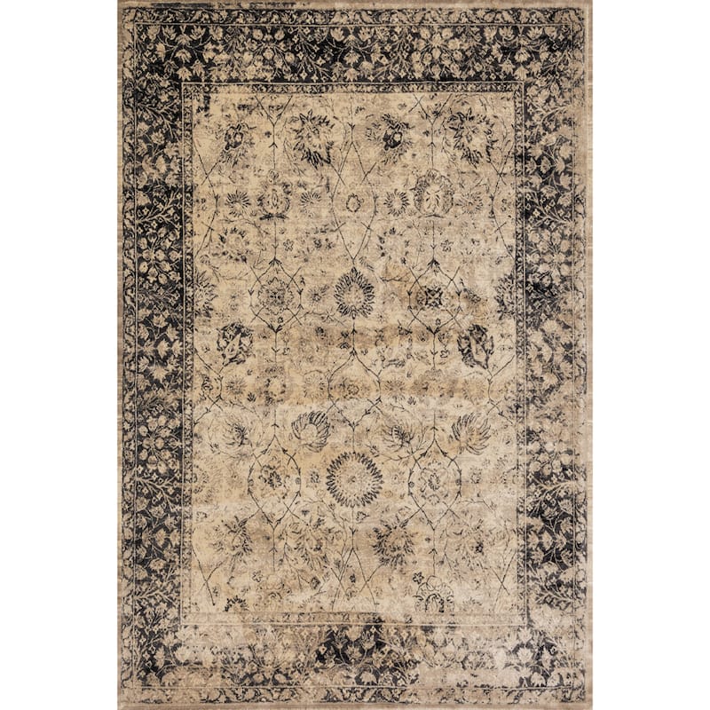 Alexander Home Natalie Traditional Distressed Floral Rug