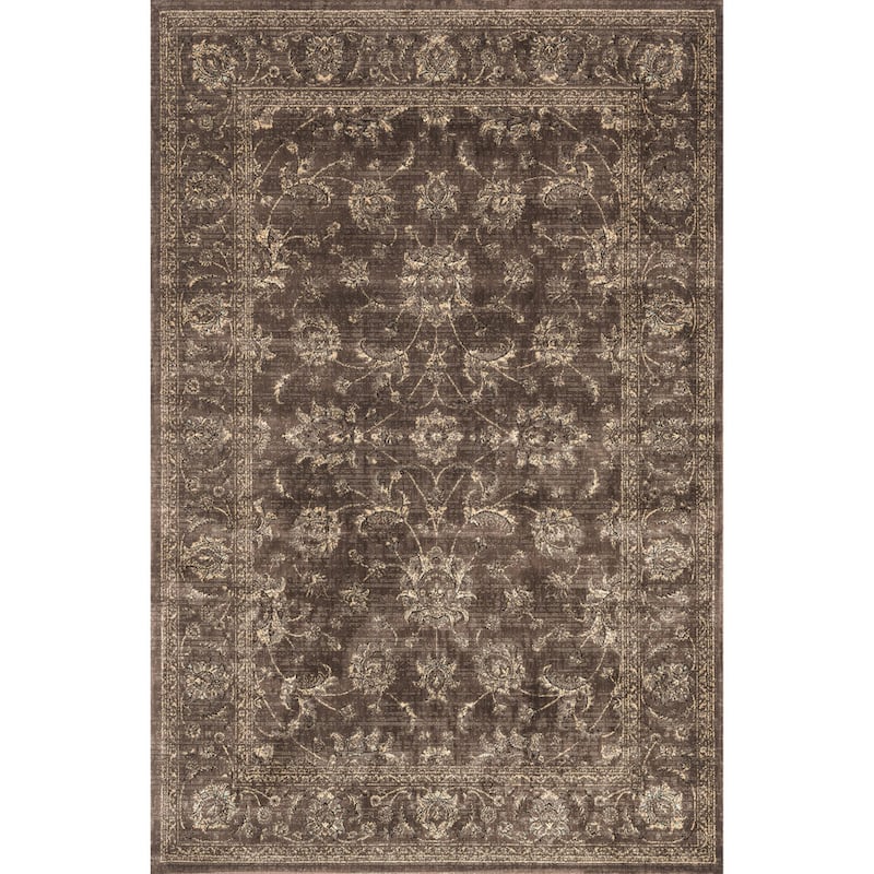 Alexander Home Natalie Traditional Distressed Coffee Floral Rug