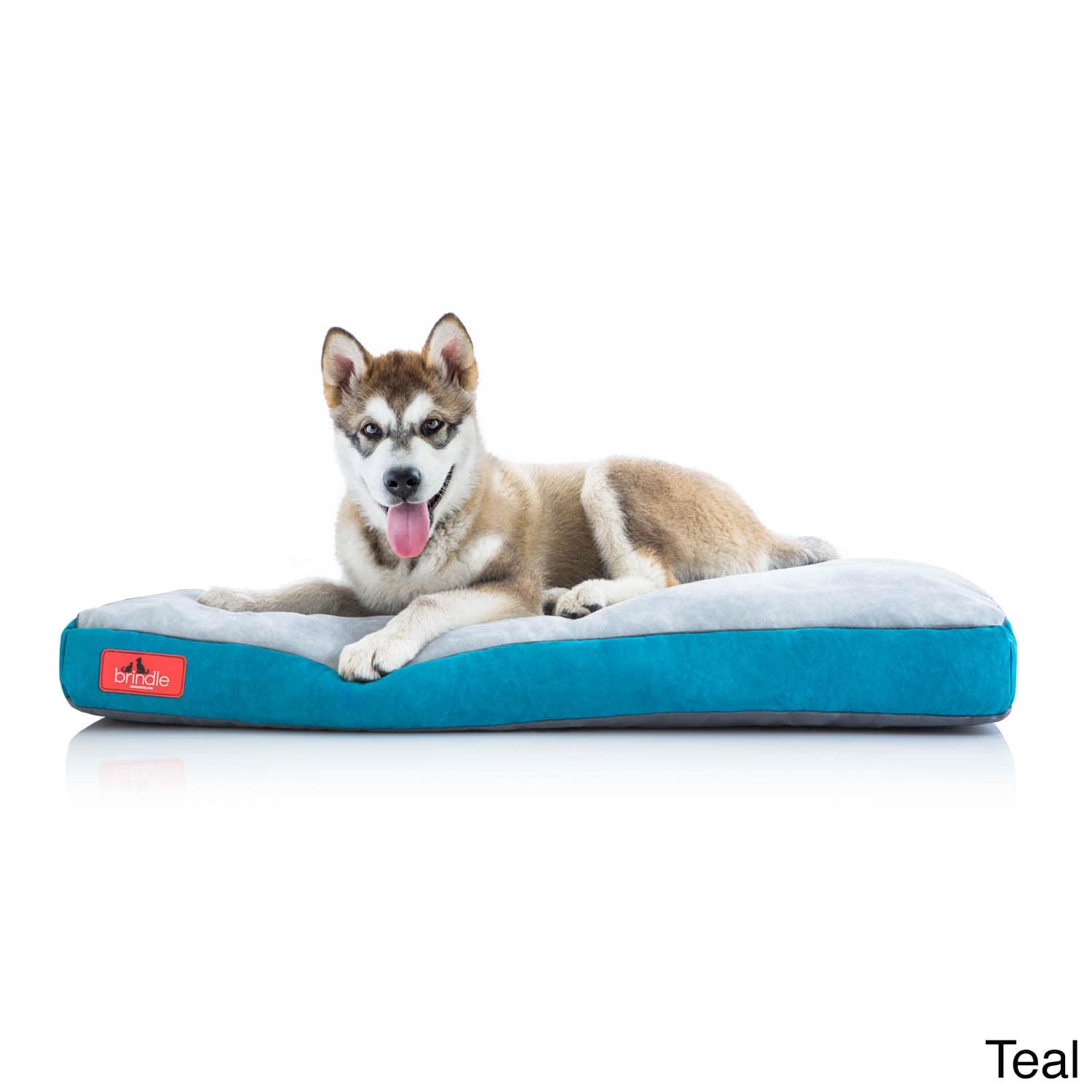 cuddler dog bed with removable cover