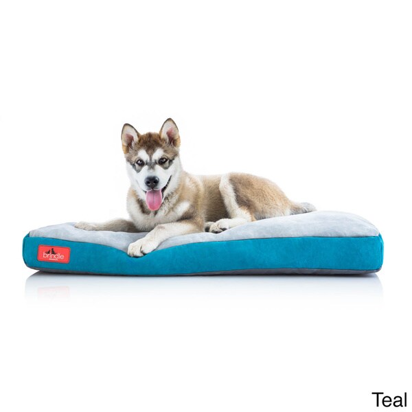 foam dog bed with removable cover