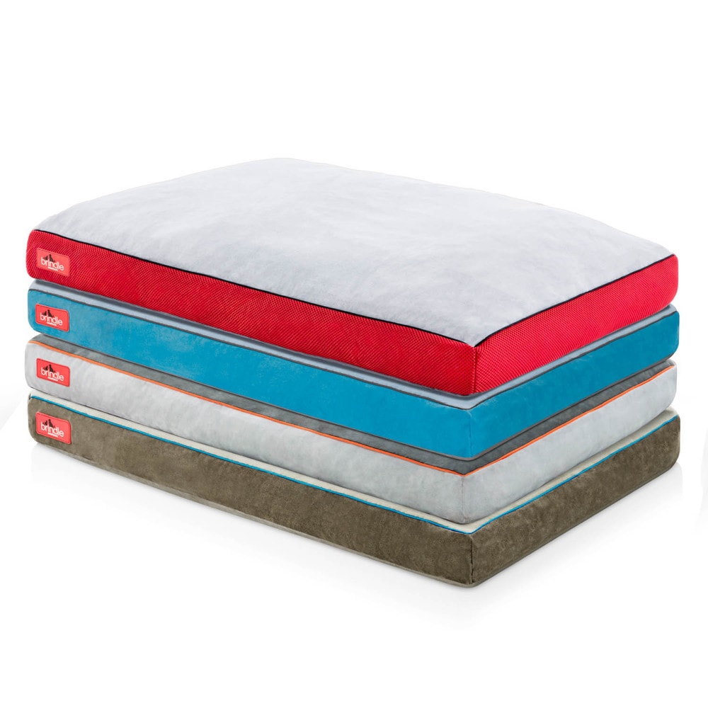 Brindle memory sale foam bed