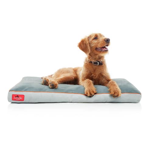 Brindle Memory Foam Dog Bed with Removable Washable Cover