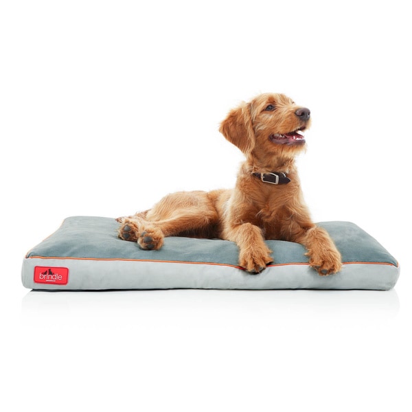 Shop Brindle Memory Foam Dog Bed with Removable Washable Cover - Free