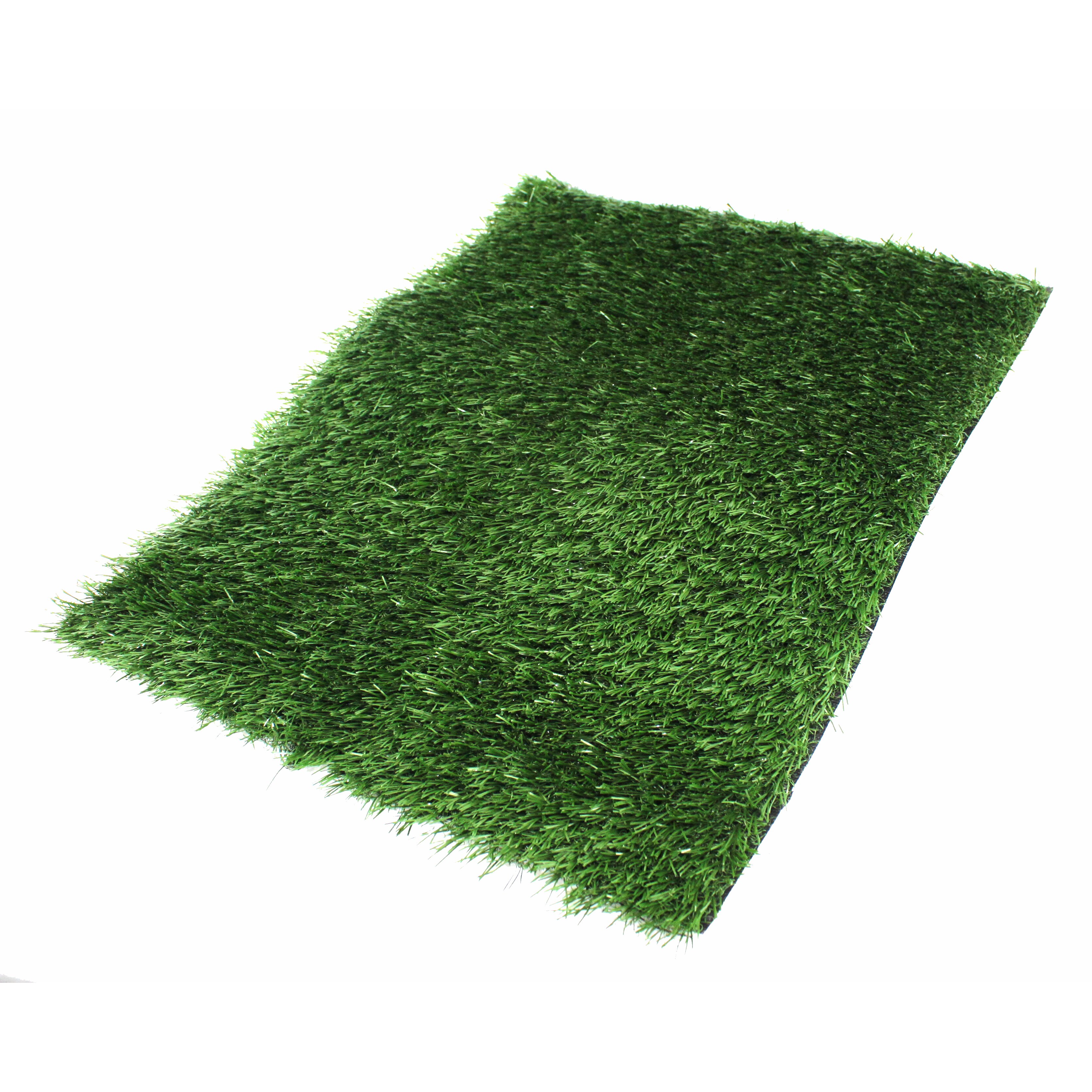 potty pad