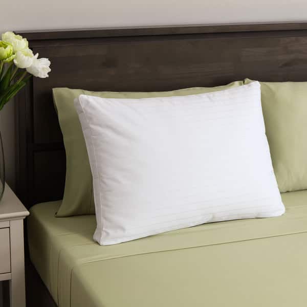 https://ak1.ostkcdn.com/images/products/10760451/St.-James-Home-Twice-as-Nice-Nanofeather-and-Microgel-Bed-Pillow-f61aae8e-3592-4ba7-8ff3-c4c528ed0d80_600.jpg?impolicy=medium